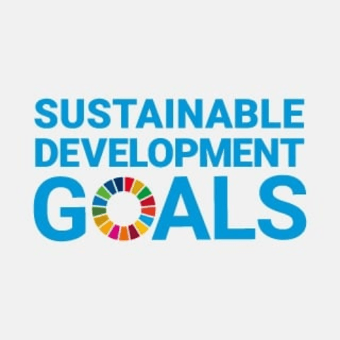 Sustainable Development Goals