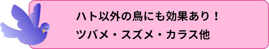 ハト以外の鳥にも効果あり！
ツバメ・スズメ・カラス他